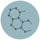 collagen Enhanced Collagen and Elastin